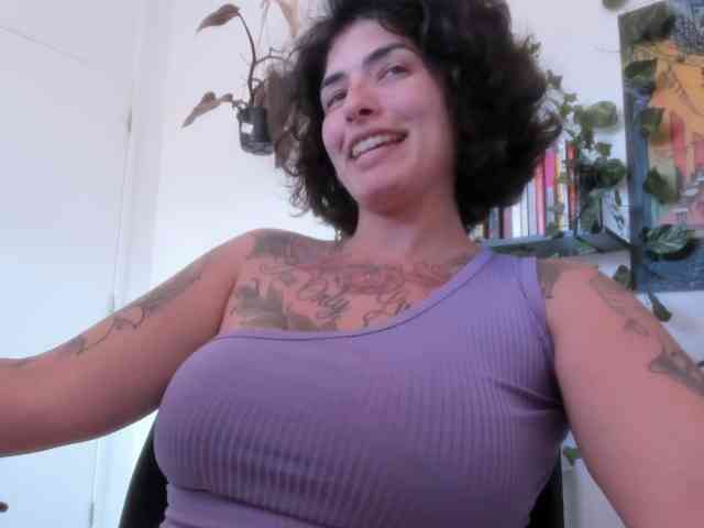 talimajesty webcam