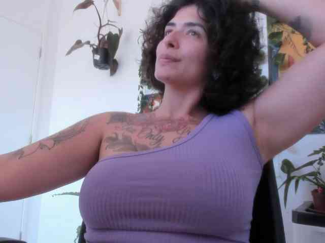 talimajesty webcam
