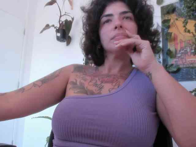 talimajesty webcam