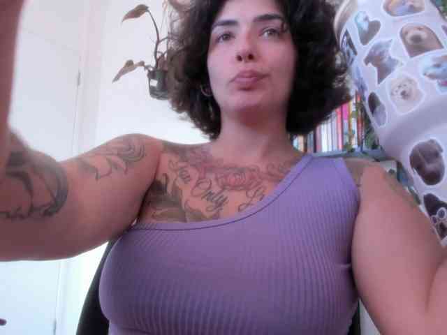 talimajesty webcam