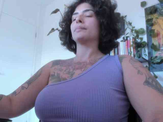 talimajesty webcam