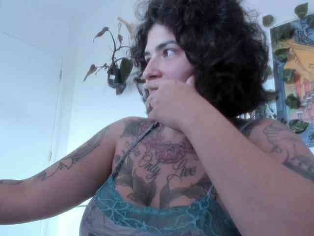 talimajesty webcam