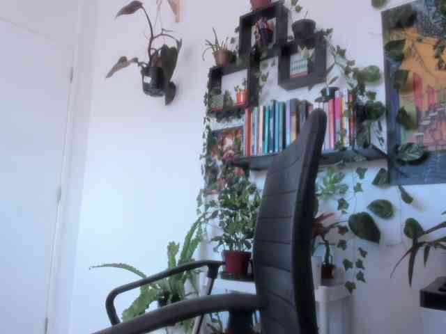 talimajesty webcam