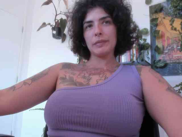 talimajesty webcam