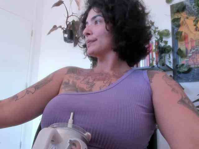 talimajesty webcam