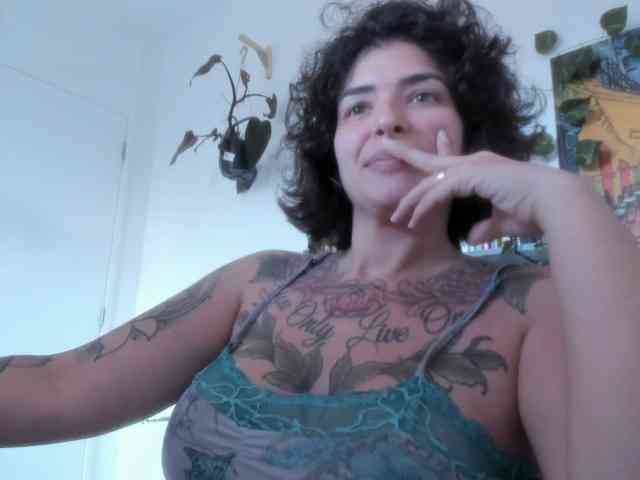 talimajesty webcam