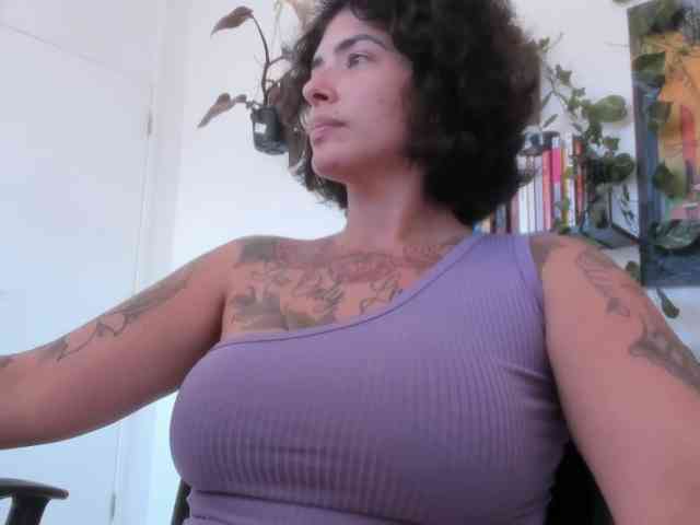 talimajesty webcam