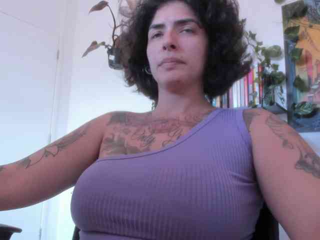 talimajesty webcam