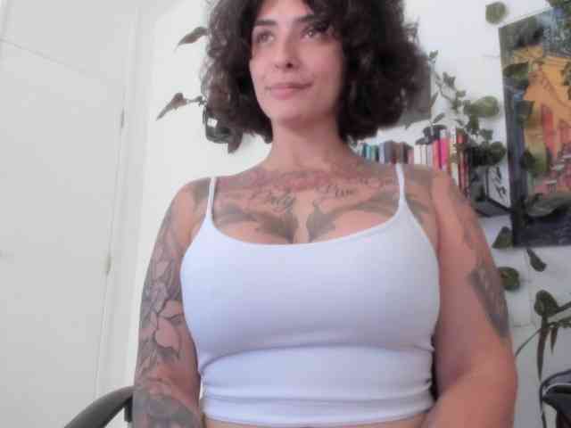 talimajesty webcam