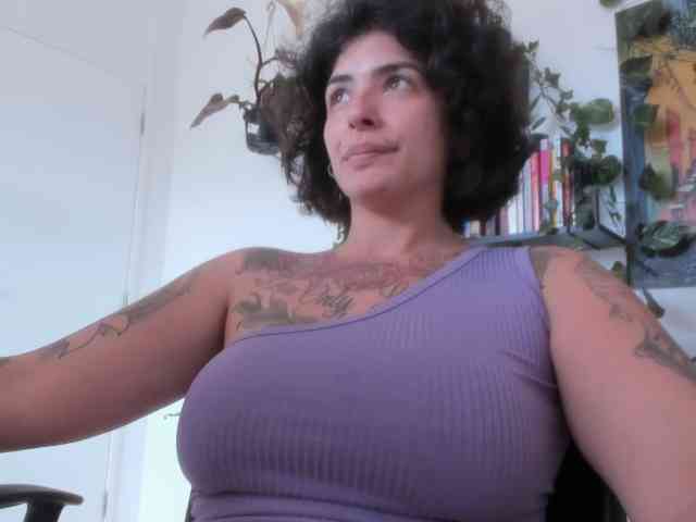 talimajesty webcam