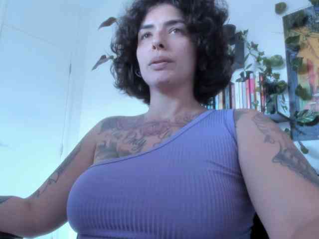 talimajesty webcam