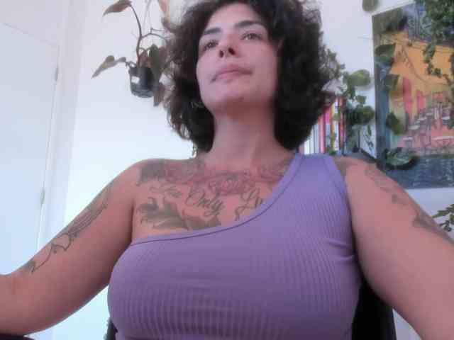 talimajesty webcam