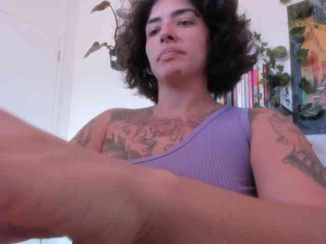 talimajesty webcam