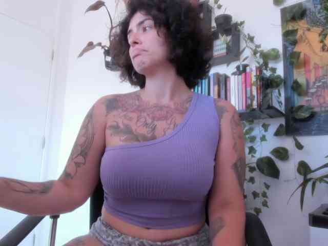 talimajesty webcam