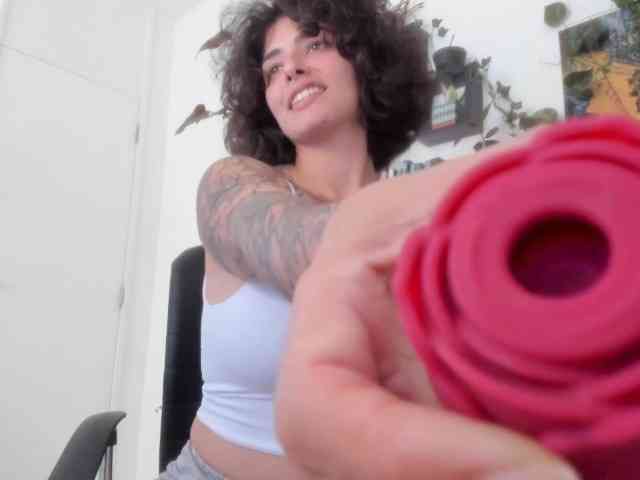 talimajesty webcam