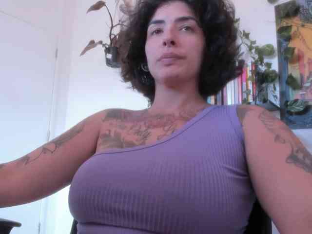 talimajesty webcam