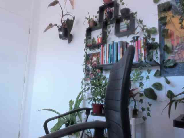 talimajesty webcam