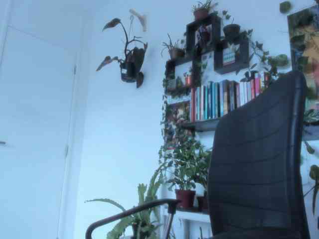 talimajesty webcam