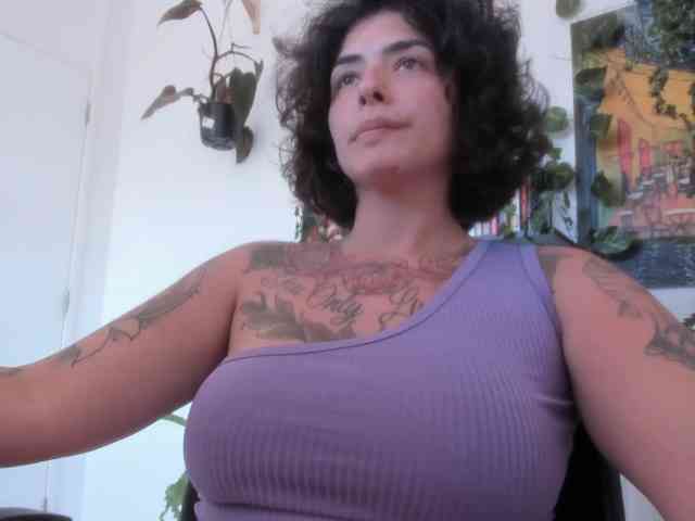 talimajesty webcam