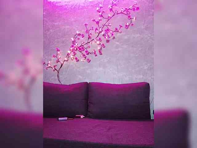 SexyKitty75-1 webcam