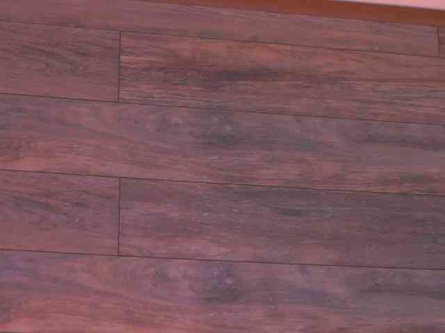 EllieRedd webcam