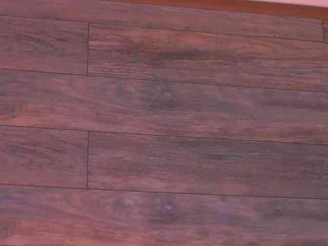 EllieRedd webcam