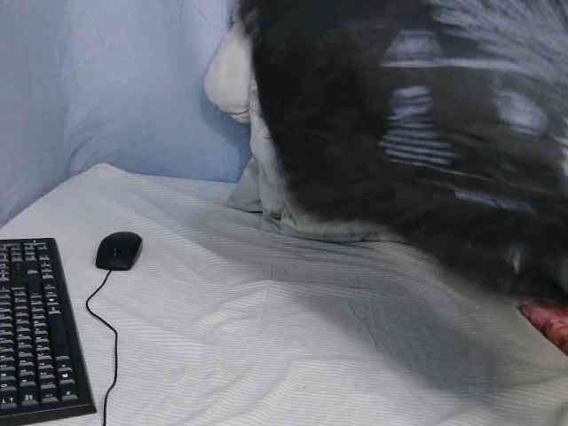 sweet-bunny-sweet webcam