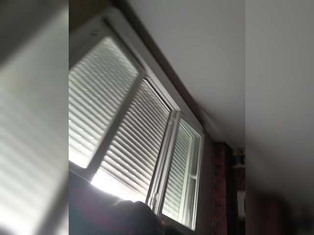 Lebrel13 webcam
