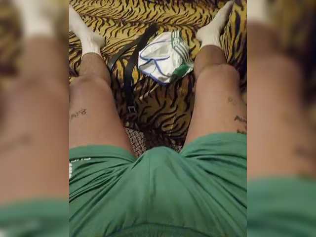 Zherebets_1 Zherebets_1