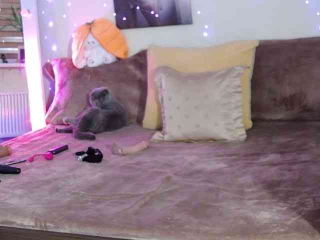 Linda-Stefana webcam