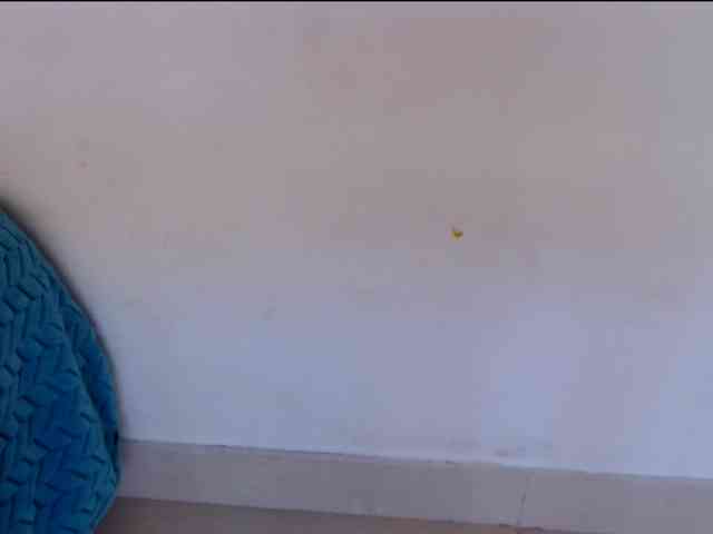 Wilhelmina webcam