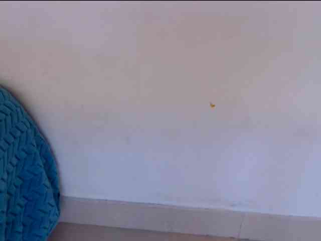 Wilhelmina webcam