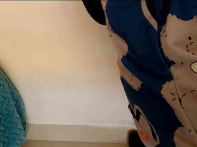 Wilhelmina webcam