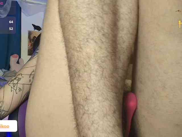 Kittyaikoo webcam