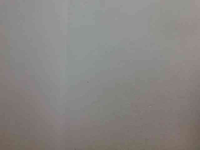 JELLA1 webcam