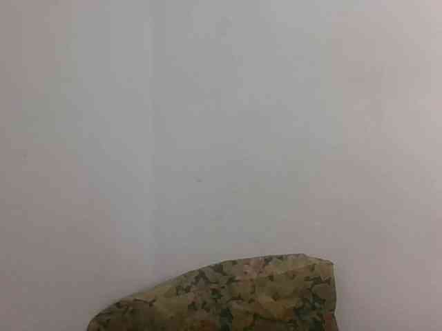JELLA1 webcam