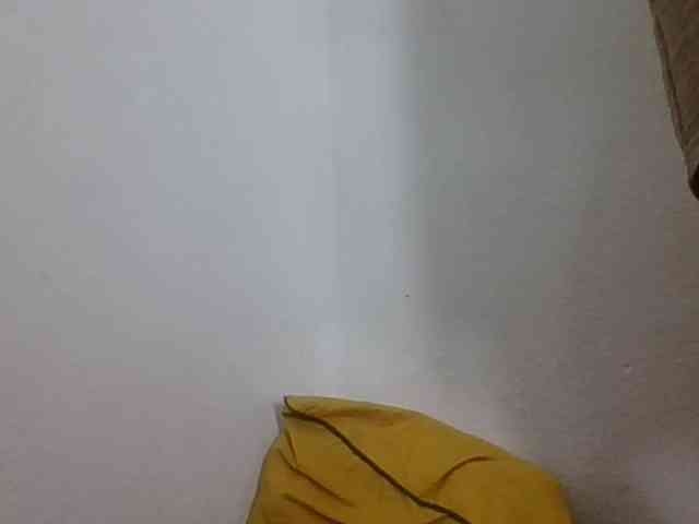 JELLA1 webcam