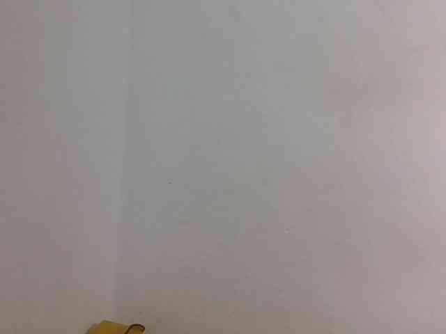 JELLA1 webcam