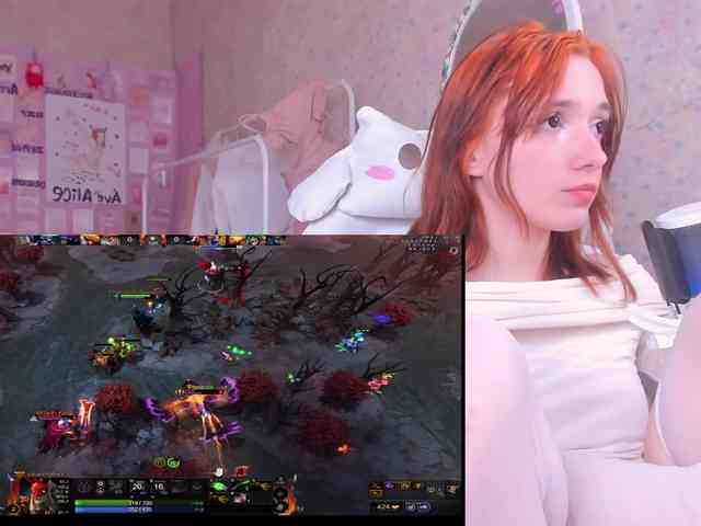 Dark-Willlow webcam