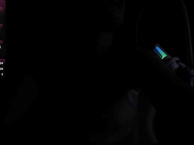 Dark-Willlow webcam