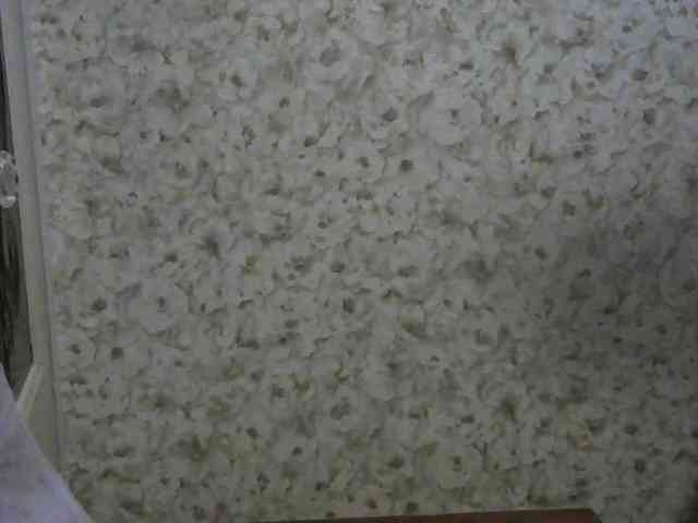 Lady_of_Perfection webcam