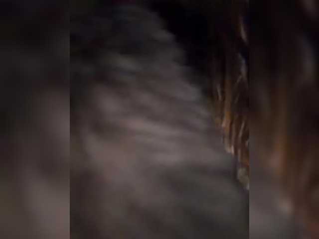 go to chat with --Eva-22--