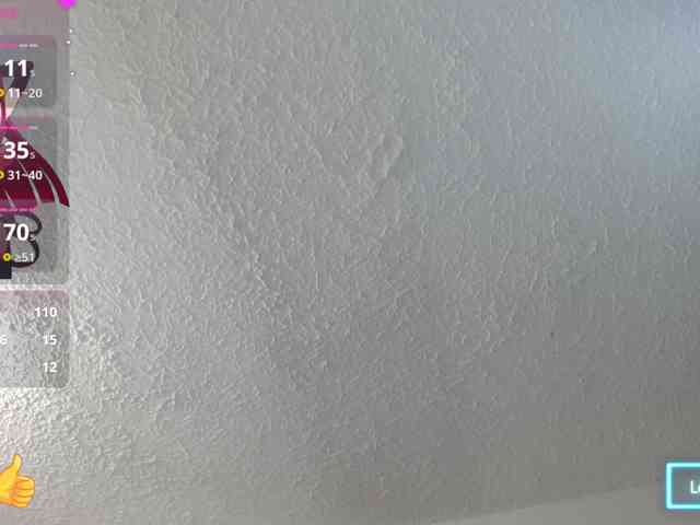 Samara-wish webcam