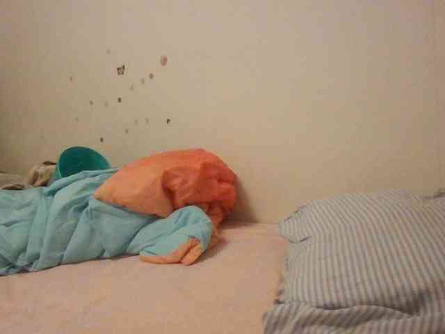 starlight1983 webcam