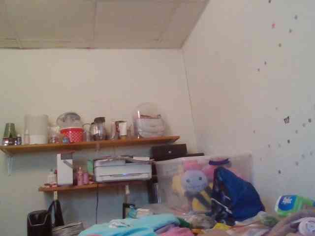 starlight1983 webcam