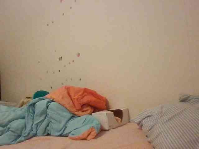 starlight1983 webcam