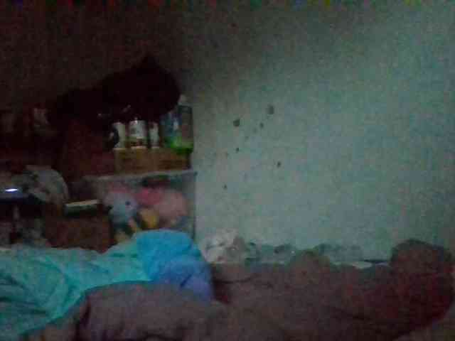 starlight1983 webcam