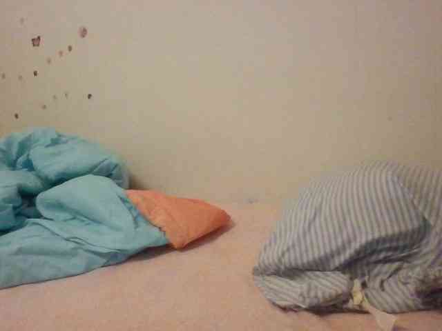 starlight1983 webcam