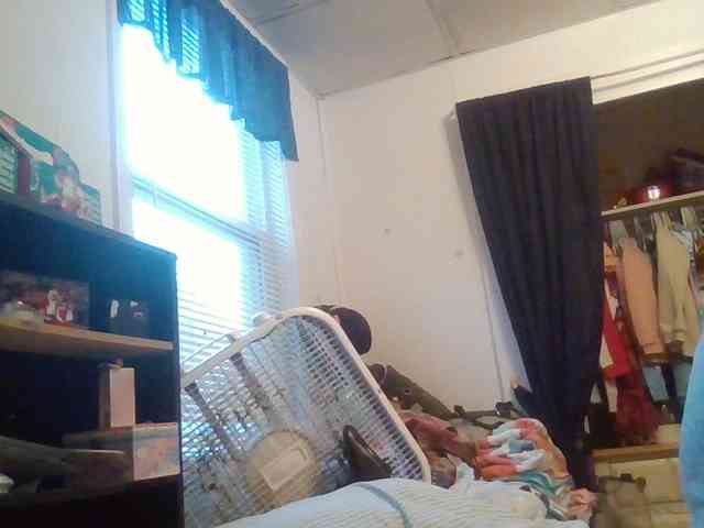 starlight1983 webcam