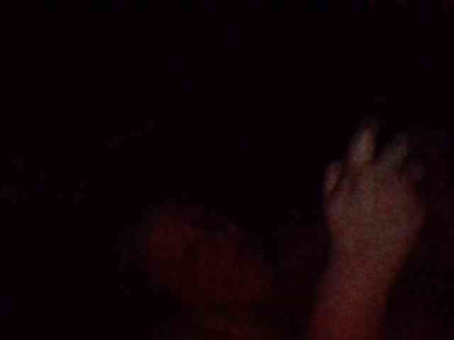 starlight1983 webcam